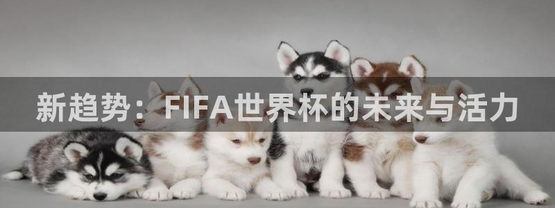2026世界杯赛制:新趋势:FIFA世界杯的未来与活力