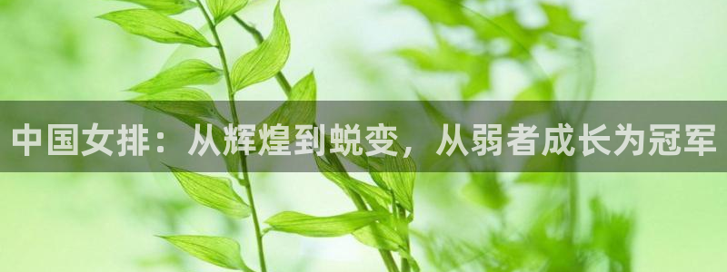 2026世亚预赛赛程表:中国女排:从辉煌到蜕变,从弱者成长为冠军