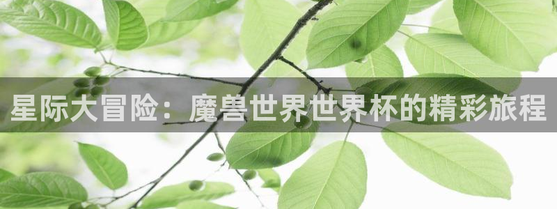 世界杯预选赛亚洲:星际大冒险:魔兽世界世界杯的精彩旅程