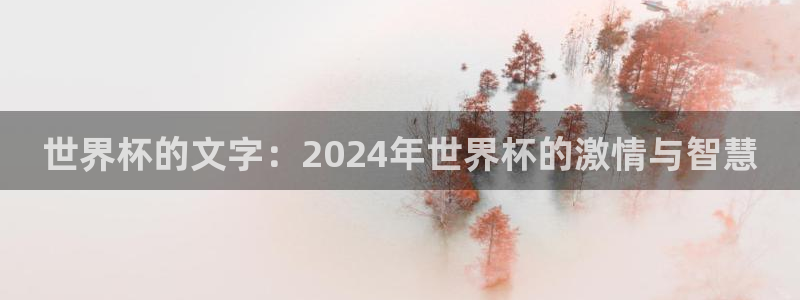 西超杯直播:世界杯的文字:2024年世界杯的激情与智慧