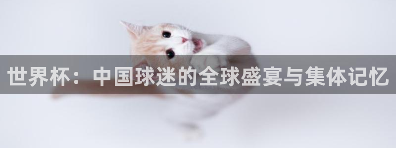 世界杯预赛赛程:世界杯:中国球迷的全球盛宴与集体记忆