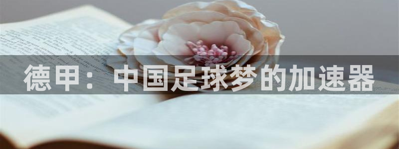 世界杯:德甲:中国足球梦的加速器