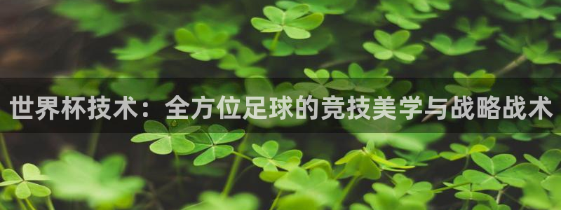 世界杯第一场比赛:世界杯技术:全方位足球的竞技美学与战略战术